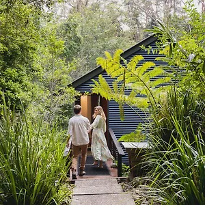 https://tree-houses-of-montville.queenslandhotels.net